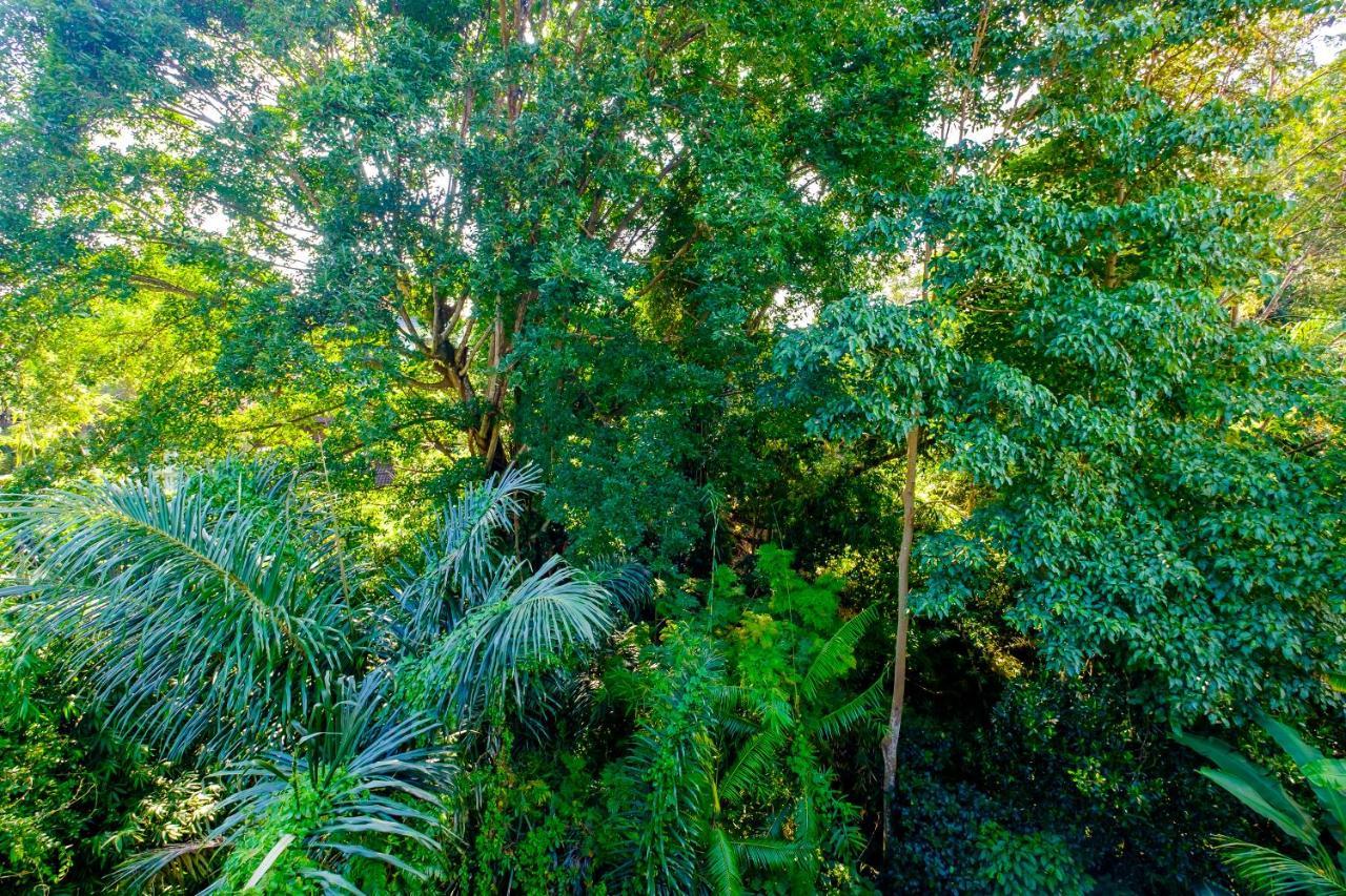 Bali Ubud Harmony Exterior foto